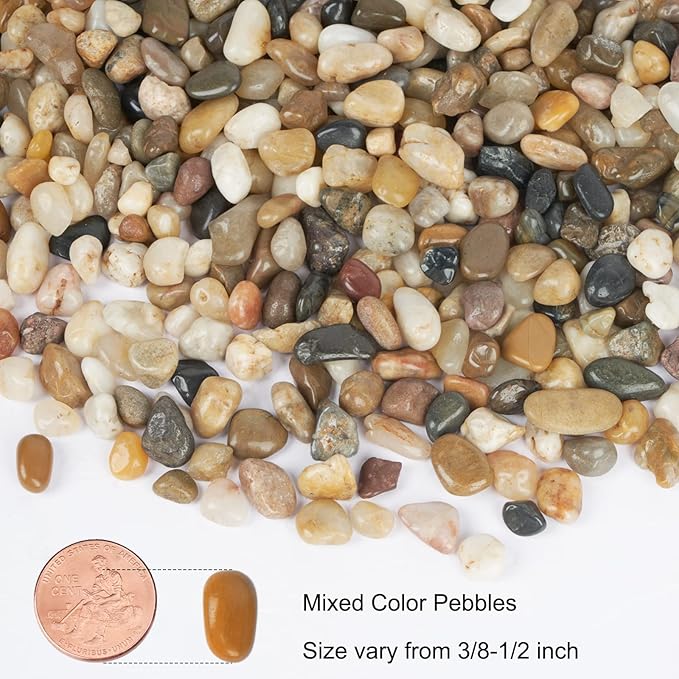 GASPRO 10 Pound Pebbles for Indoor Plants, 3/8 Inch Decorative Rocks for Vase, Succulents, Landscaping, Garden, Highly Polished, Mixed Color