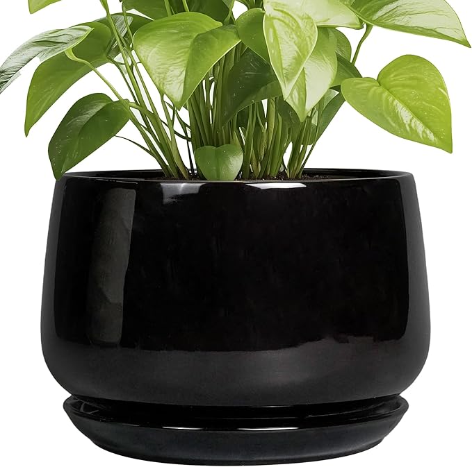 G EPGardening Ceramic Plant Pots - 9 Inch Round Planter, Ceramic Pots for Plants with Drainage and Tray, Flower Indoor Outdoor Planter, Modern Desk Decor, Plant Lover Gifts, Black