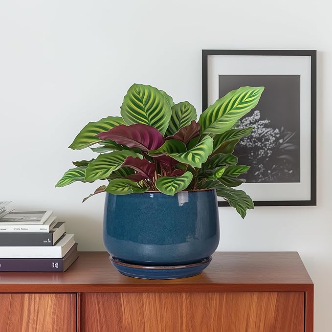 G EPGardening Ceramic Planter 6 Inch - Round Modern Ceramic Pot for Plants with Drainage and Plant Tray Indoor for Flower, Apartment Decor, Housewarming Gifts New Home, Retro Blue