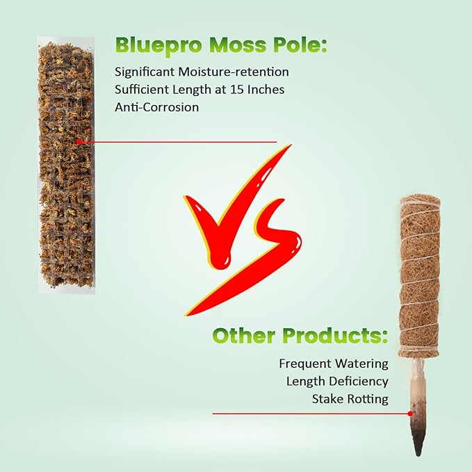 15 Inch 8 Pcs Plastic Moss Pole for Plants Monstera, 8×15'' Plant Poles for Climbing Plants, Plant Support for Indoor Plants Work with Sphagnum Moss, Clear