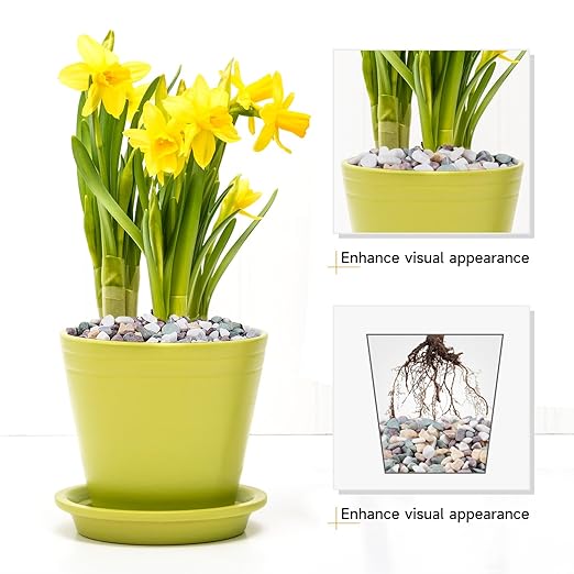 2.5 lbs Pea Gravel for Plants, Aquarium, Fish Tank, 3/8 inch Decorative Pebbles for Indoor Plants, Succulent, Bamboo, Vase, Drainage Rocks for Potted Plants, Top Dressing, Mixed Color