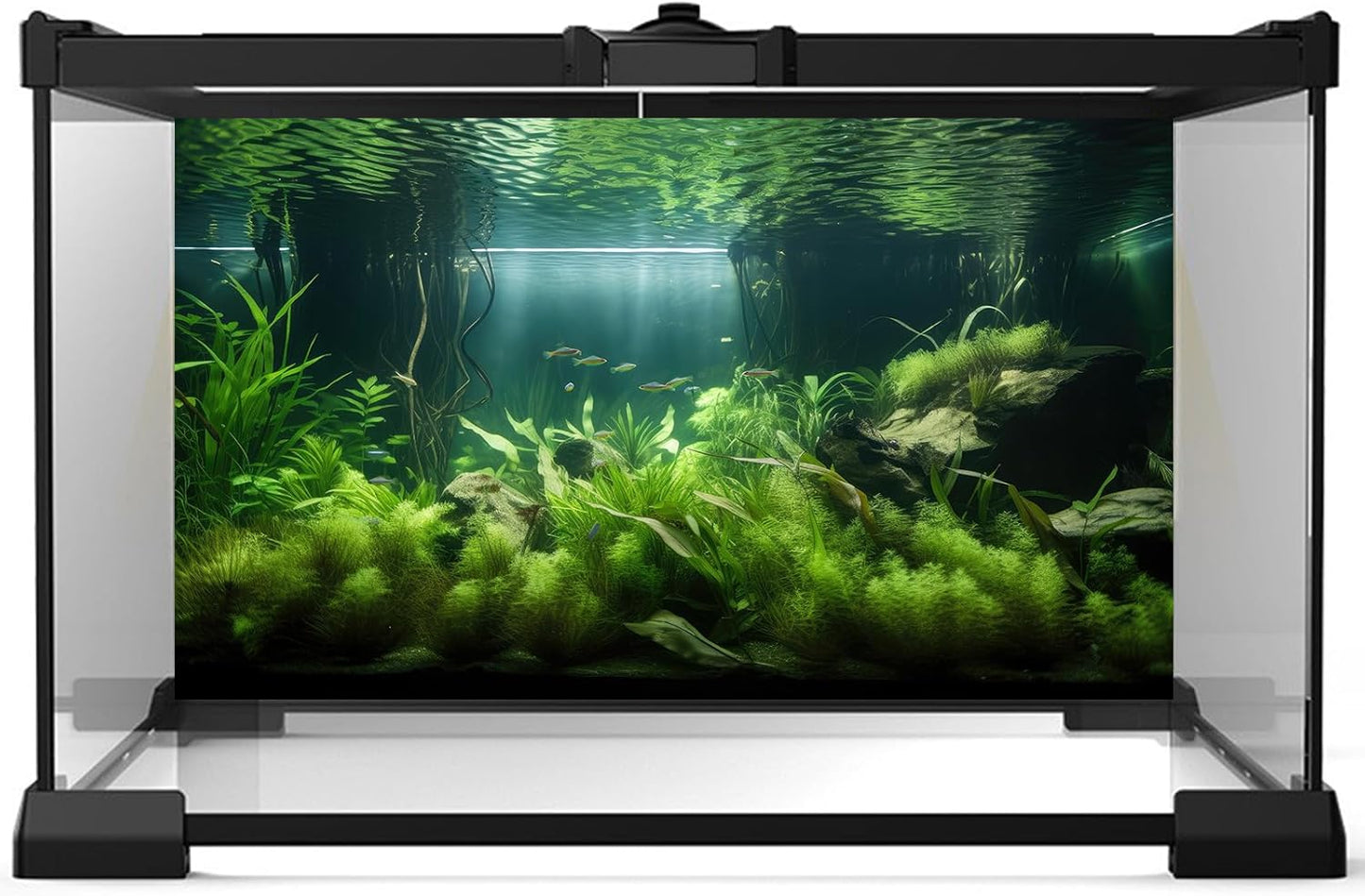 Aquarium Background Lush Green Aquatic Plants and Seagrasses Terrarium Background Under The Sea View With Rock Sands Fish Tank Background Amazing Aquarium Backdrop Background Poster Vinyl 36x24in