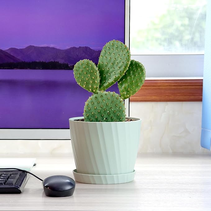 6 Inch Plant Pots Bulk, 6 Pack Plastic Planters with Drainage Holes and Saucers for Indoor Outdoor House Plants and Flowers, Colorful