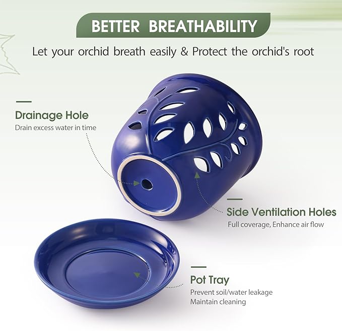 6.1 in Ceramic Orchid Pot with Holes & Saucers, Large Orchid Planter for Indoor Outdoor Home Decor, Flower Plant Pot with Drainage for Repotting, Blue