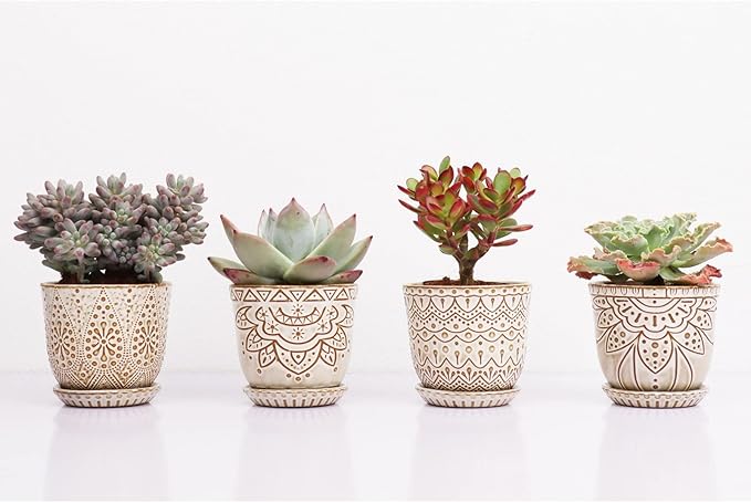 Gepege Succulent Pots, 4 Inch Small Indoor Ceramic Planter Pot with Drainage Holes and Saucers for Plants- Creamy White - Set of 4