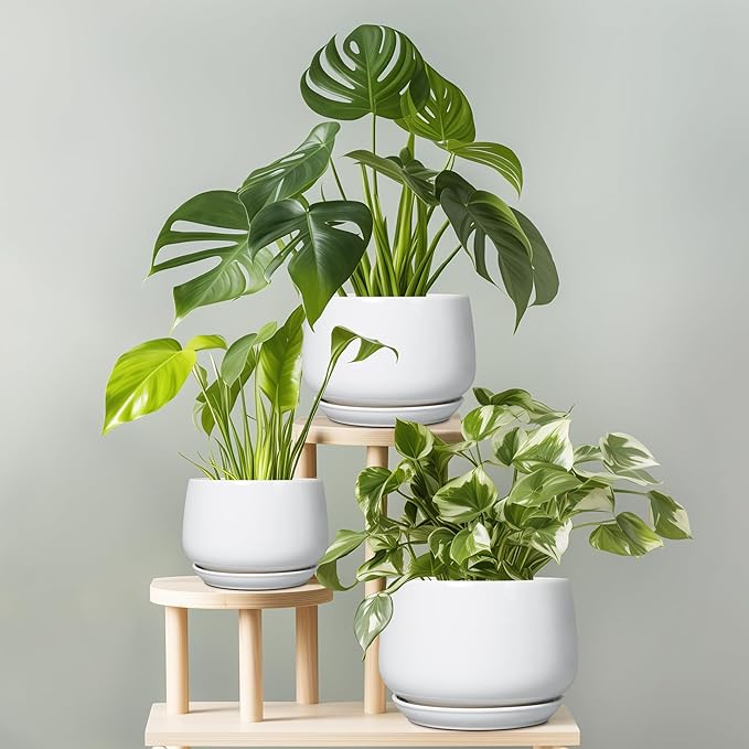 G EPGardening Ceramic Pots for Plants - 7 Inch Planter for Indoor Plants, Round Flower Pots with Drainage and Saucer, Modern Outdoor Planter, Garden Decor, Home Gifts, White