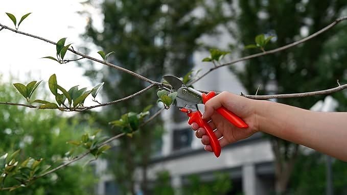 8" Professional Heavy Duty Anvil Pruning Shears with SK-5 Blades, Garden Shears for Dry Stems and Small Branches, Gardening Scissors, Clippers for Wood, Plastic, Rubber, Leather | LFXP1108