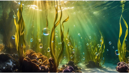 Aquarium Background Underwater Beautiful Coral Reef with Seaweed Bubbles Terrarium Backdrop Aquatic Plants Sunlight Rays Fish Tank Background Tank Aquarium Wallpaper Poster Decor Vinyl 30x12in