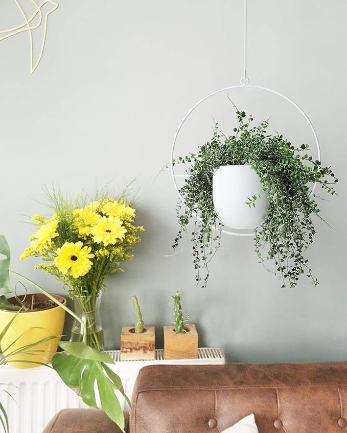 Hanging Planter Indoor Modern Boho Plant Pot Metal Wall and Ceiling Plant Holder Mid Century Minimalist Flower Pot for Hanging Plants, White