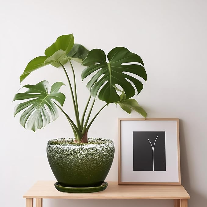 6 Inch Plant Pot - Ceramic Planter Pot with Drainage Hole and Saucer, Glaze Succulent Pot Modern Round Flower Pot for Indoor Plants, Dark Green