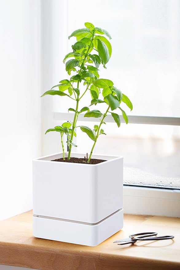 4 Inch Herb Planter Pot, Plastic Planter with Drainage Holes and Saucer, Modern Decorative Gardening Pot for Indoor Plants, Flowers, Herbs, Succulents, White, Set of 1, 76-Y-A-1