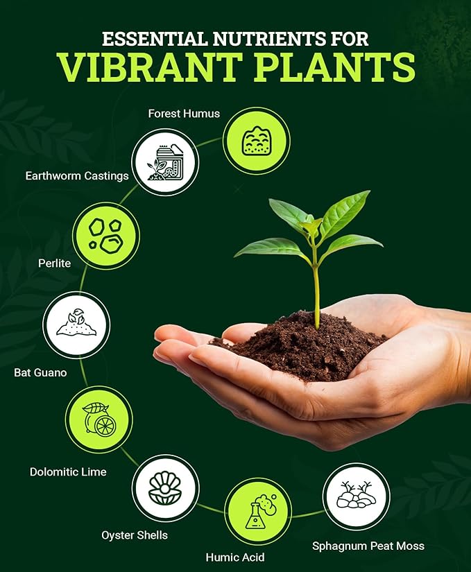 FoxFarm Happy Frog Potting Soil, 12qt – for Indoor/Outdoor Container Plants, Improves Root Efficiency, pH Adjusted for Optimal Nutrient Uptake – Contains Microbes and Humic Acids (Pack of 2)