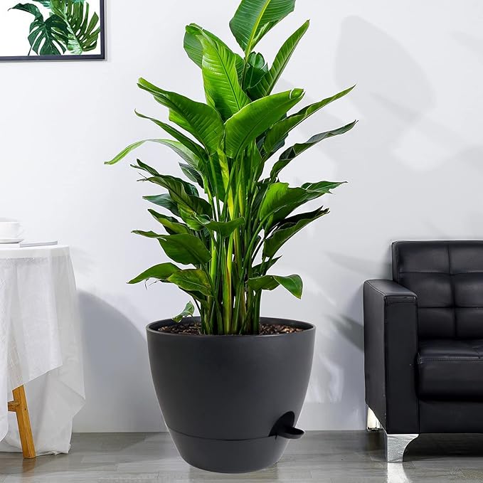 12 inch Large Self Watering Pots, Plastic Planters with 60oZ Removable Deep Reservoir and Multi Mesh Drainage Holes for Indoor Outdoor Garden Plants and Flowers, Black