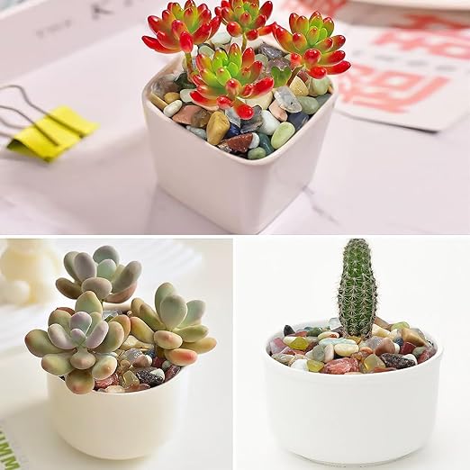 20LB Colorful Pebbles for Succulent, 3/8 Inch Natural River Rocks for Plants, Natural Decorative Polished Pebbles for Cactus,Vases, Planters,Outdoor Gardening and Indoor Plants