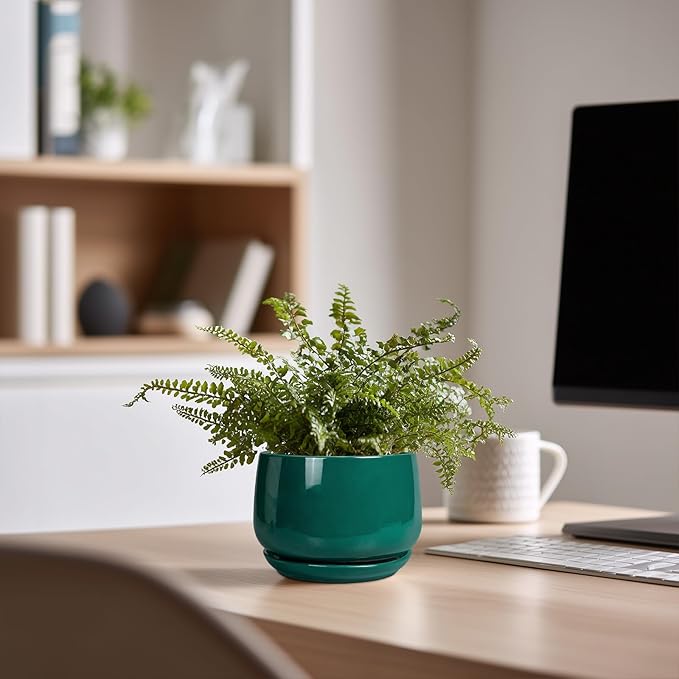 G EPGardening 4 inch Plant Pots - Small Ceramic Planter with Drainage Hole & Tray, Succulent Pots Indoor Outdoor, Round Modern Planter, Decorative Flower Pot, Desk Decor, Gifts for Plant Lover, Green