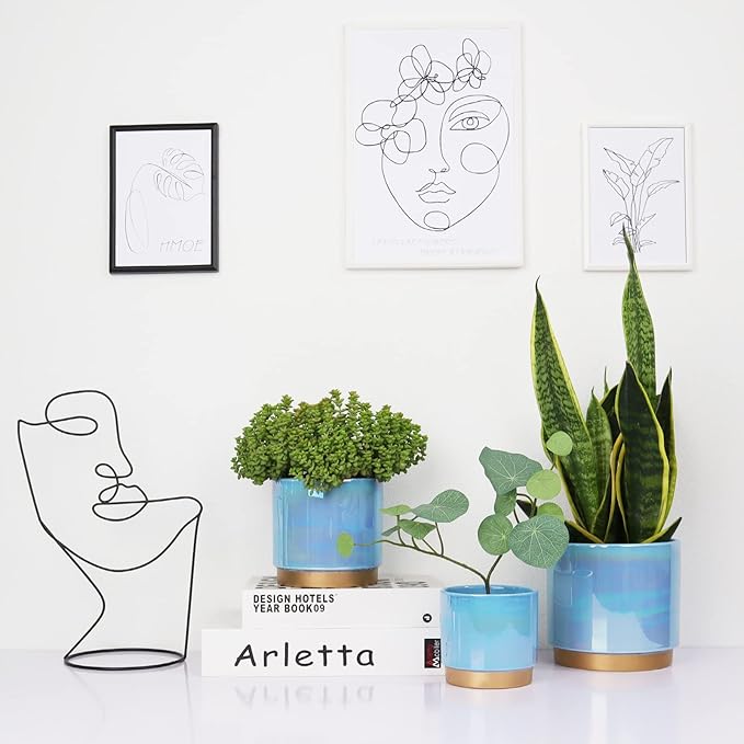 Gepege Ceramic Pots for Plants, Rainbow Pearl Glaze Planter with Drainage Hole, 6.0 inch+5.0 Inch+4.0 Inch. Indoor-Outdoor Large Round Succulent Orchid Flower Pot