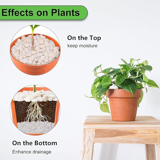 5 lbs White Pebbles for Vases, 3/8" Small Plant Rocks for Pots Indoor, Decorative Pea Gravel for Succulents, Bamboo, Terrarium, Landscape, Garden