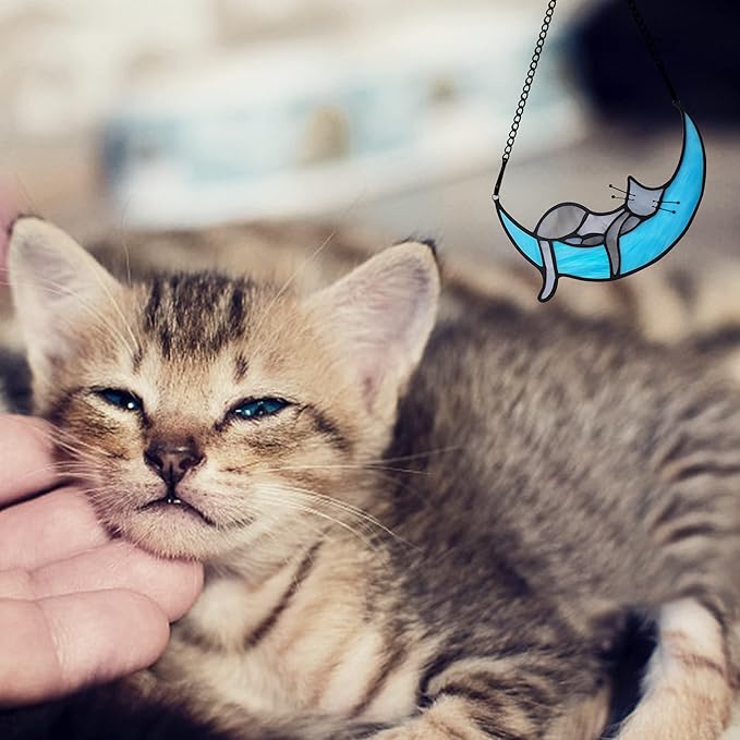 BOXCASA Sleeping Cat Stained Glass Windown Hanging,Grey Cat on Moon Beautiful Handcrafted Sun Catcher Gifts for Daughter,Mothers Day,Christmas and Cat Lover