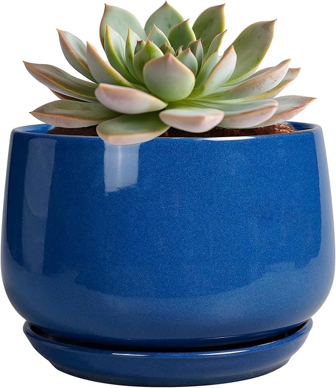 G EPGardening 6 Inch Plant Pot - Round Ceramic Planter Indoor with Drainage and Ceramic Saucer for Flower, Modern Desk Decor, Modern Garden Gift, Blue
