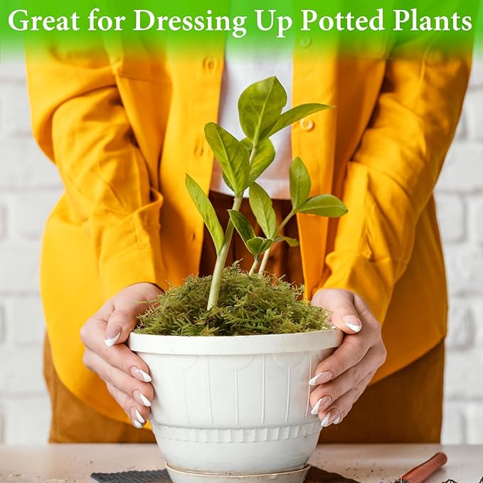 Halatool 4.4LB Green Forest Moss Natural Sphagnum Moss for Plants Fluffy Orchid Moss for Orchids Repotting Dried Plant Moss for Potted Plants Indoor & Outdoor