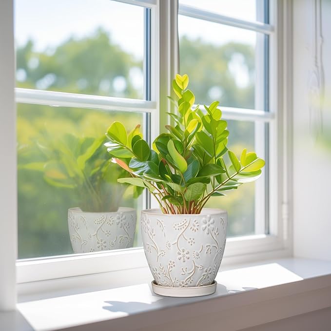 6 Inch Ceramic Plant Pot for Indoor Plants Outdoor Round Planter Flower Pot with Drainage Hole and Saucer for Home Garden Office Decor White