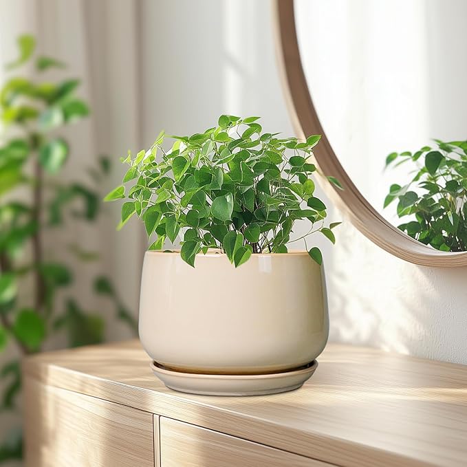 G EPGardening Ceramic Planter - 7 Inch Plant Pots with Drainage and Ceramic Tray, Flower Pots for Indoor Plants, Round Outdoor Planter, Room Decor, Gifts for Plant Lovers, Beige