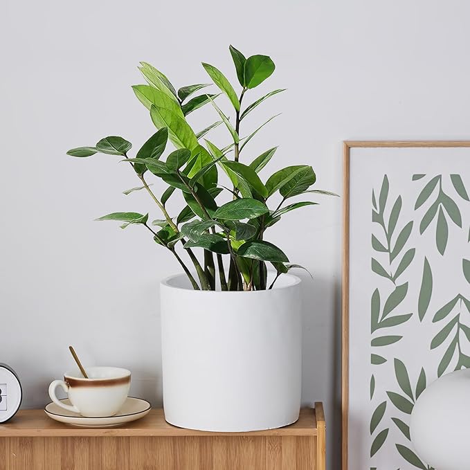 8 Inch Pot for Plants, Large Cement Planter with Drainage Hole, Mid-Century Modern Concrete Flower Pots for Home Decor, Office & Outdoor (White)