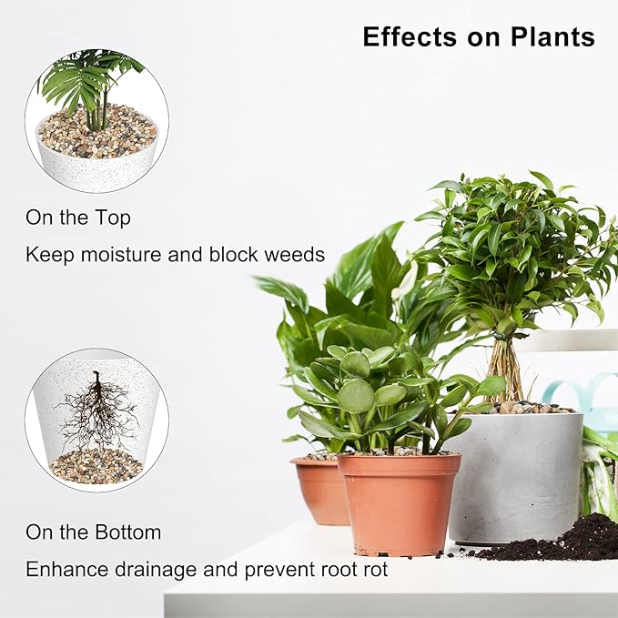 GASPRO 5 Pound Pebbles for Indoor Plants, 3/8 Inch Decorative Rocks for Vase, Succulents, Highly Polished, Mixed Color