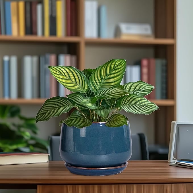 G EPGardening Ceramic Pot for Plants - Modern 7 Inch Round Planter with Drainage and Tray Indoor Outdoor for Flower, Porch Decor, Gardening Gifts, Retro Blue