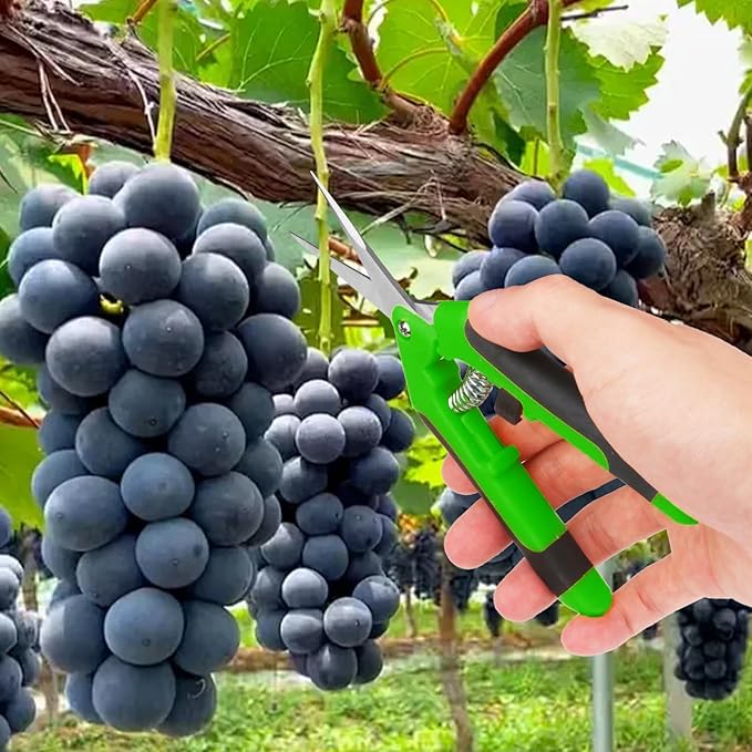15 Pack 6.5 Inch Green Garden Pruning Scissors, Stainless Steel Blades Hand Pruner, Sharp Point Gardening Shears Cutter, A Must-have Gardening Pruning Shear, Supplies & Accessories
