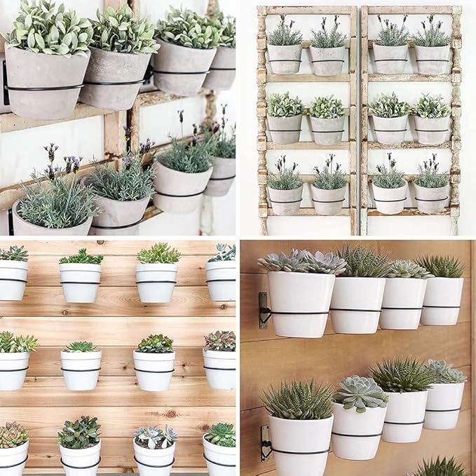 6 Pack 8in Flower Pot Holder Ring Wall Mounted Metal Planter Hooks Hangers Wall Bracket Wall Planter Hook (6, 8")