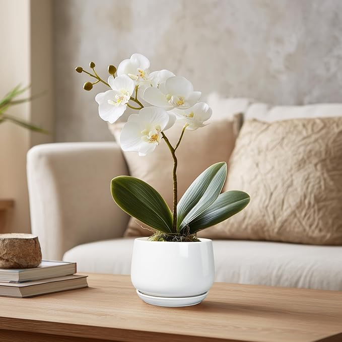 G EPGardening Ceramic Plants Pots - 4 inch Succulent Pots for Indoor Outdoor, Small Planter with Drainage Hole & Saucer, Round Planter, Modern Flower Pot, Office Decor, Plant Lovers Gifts, White