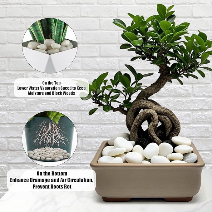 5 Lbs River Rocks for Plants,0.4-1.2 Inch Decorative Ornamental Pebbels, High Polished Stones for Garden Landscaping, Smooth Gravel Filler for Outdoor Plants, Succulents, Fish Tank and Vases, White