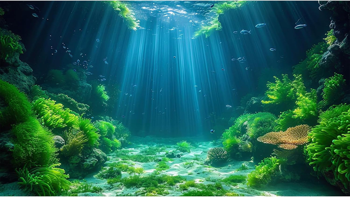 Aquarium Background Aquatic Plants Soft Algae Terrarium Backdrop Underwater World Fish Rock with Moss Sunlight Rays Fish Tank Background Aquarium Wallpaper Poster Decor Vinyl 72x18in