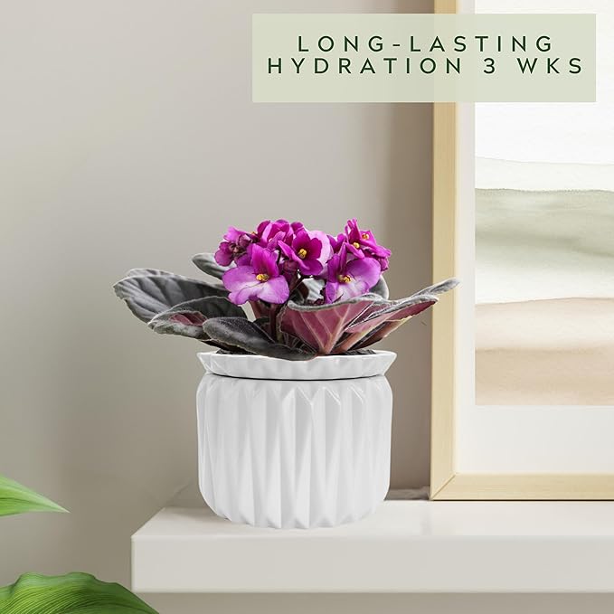 6 inch Self Watering Pot for Indoor Plants, African Violet Pot Ceramic, Flowers Planter (4 inch Opening), Holds 3 Weeks of Water (1 Pack)