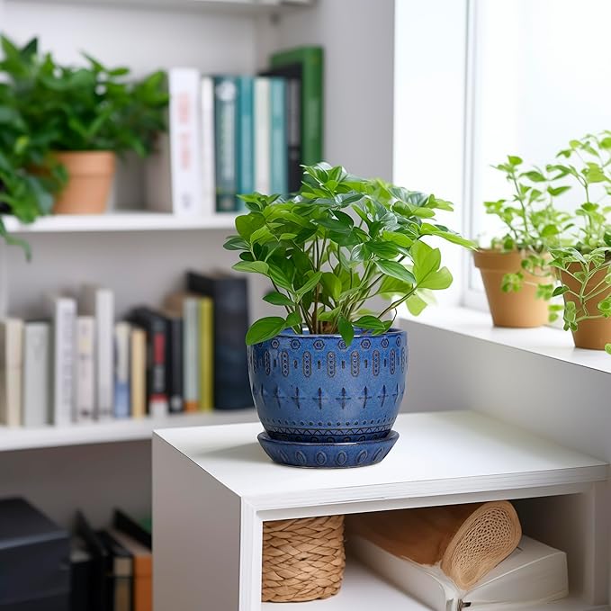 G EPGardening Plant Pot 5 Inch - Ceramic Planter for Indoor Plants Outdoor, Succulent Orchid Pot with Drainage Hole and Saucer, Round Flower Pot for Home Decor, Blue