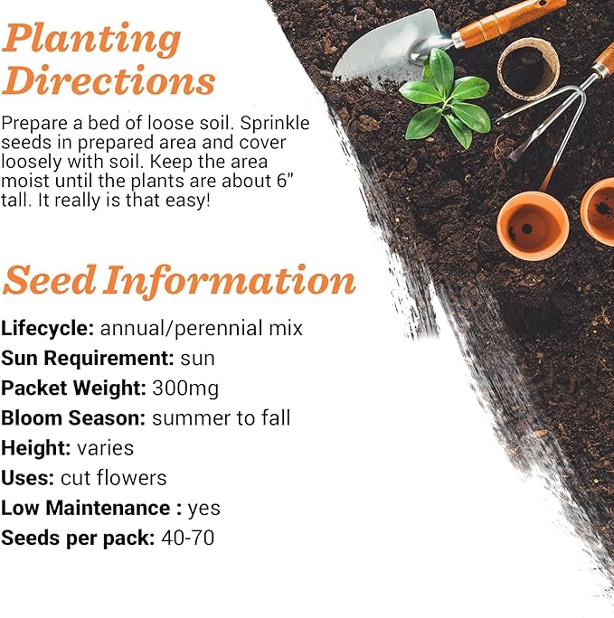 Bentley Oh Baby Wildflower Seed Packets, 25 Non-GMO Pre-Filled Favors for Baby Shower Guests, Wild Flower Party Gifts for Boys or Girls