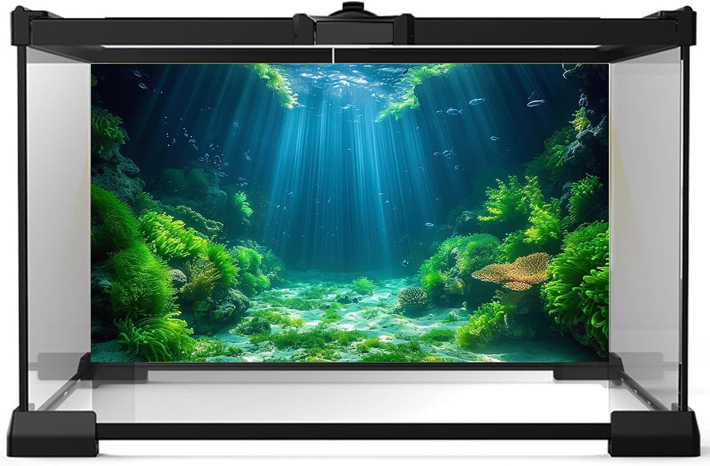 Aquarium Background Aquatic Plants Soft Algae Terrarium Backdrop Underwater World Fish Rock with Moss Sunlight Rays Fish Tank Background Aquarium Wallpaper Poster Decor Vinyl 48x20in