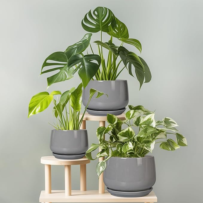 G EPGardening Modern Ceramic Planter - 7 Inch Round Modern Plant Pot Indoor with Drainage and Ceramic Tray Indoor Outdoor for Flower, Vanity Decor, Birthday Gifts, Grey