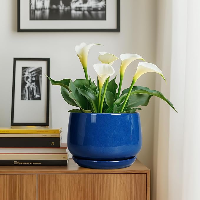 G EPGardening Ceramic Pots for Plants, 9 Inch Modern Round Planter with Drainage and Tray Indoor Outdoor for Flower, Patio Decor, Housewarming Gifts, Blue