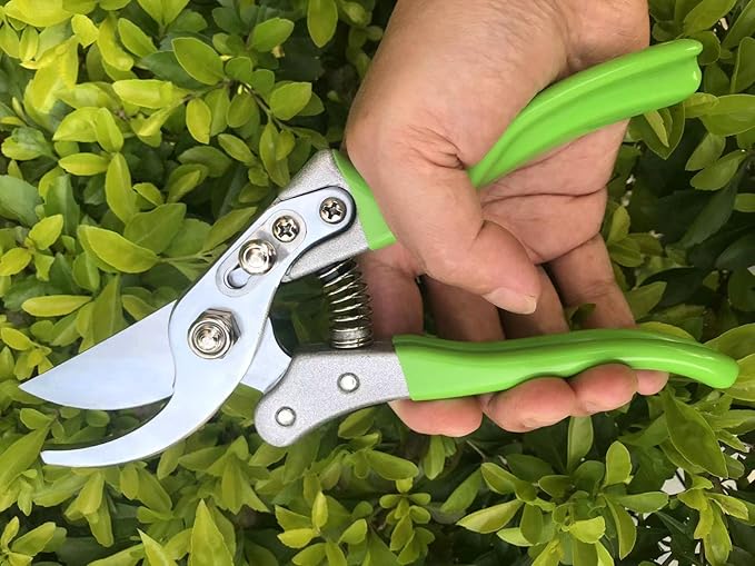 Garden Shears, Japanese Pruning Shears for Heavy Duty, Flowers Herbs Grapes Plant and Branch Cutters, Clippers, Trimmers, Scissors (Green)