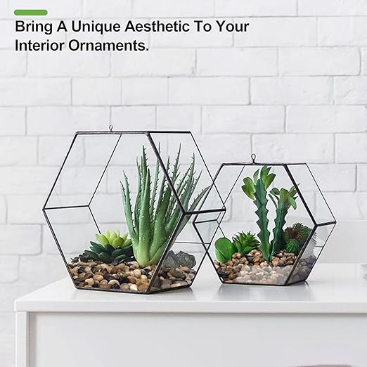 2.5 lbs Pebbles for Indoor Plants, Succulent, Bamboo, Vase, 3/8" Plant Rocks for Pots Indoor, Small River Rocks Decorative Pea Gravel, Highly Polished