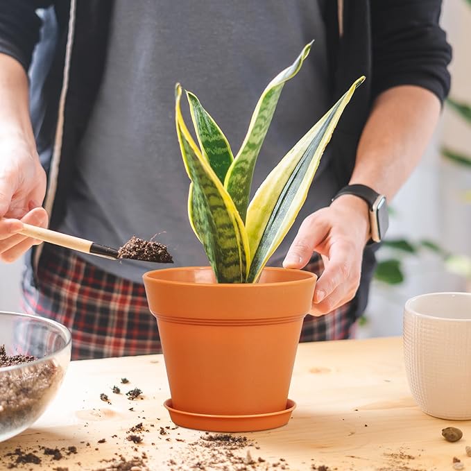 6 inch Plastic Nursery Pots, 16 Pack Plant Pots for Indoor Outdoor Plants, Flower Pots with Drainage Holes and Saucers, Decorative Seedling Starter Planters for House Plants, Terracotta