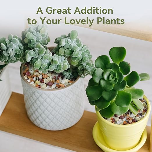 5 lbs Pebbles for Indoor Plants, Succulent Rocks, 3/8" Polished Pebbles for Bamboo, Vase, Terrarium, Natural Decorative Small River Rocks for Crafts, Cactus, Outdoor Garden Landscaping