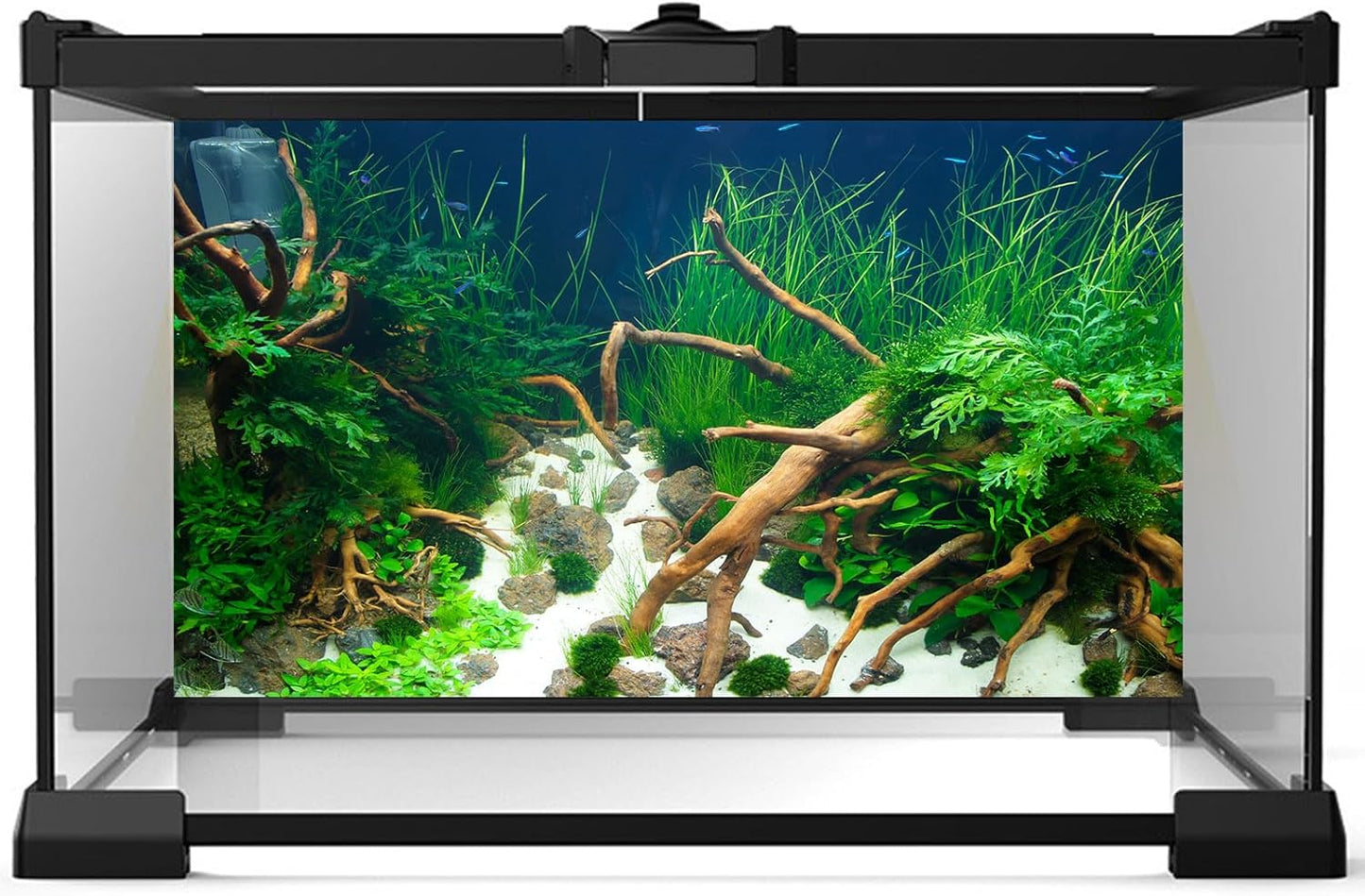 Aquarium Background Various Underwater Grass Plants Aquarium Backdrop Vivid and Fresh Green Aquatic Plants Stone River Bed and Dead Wood Yellow Stone Fish Tank Background 36x24in