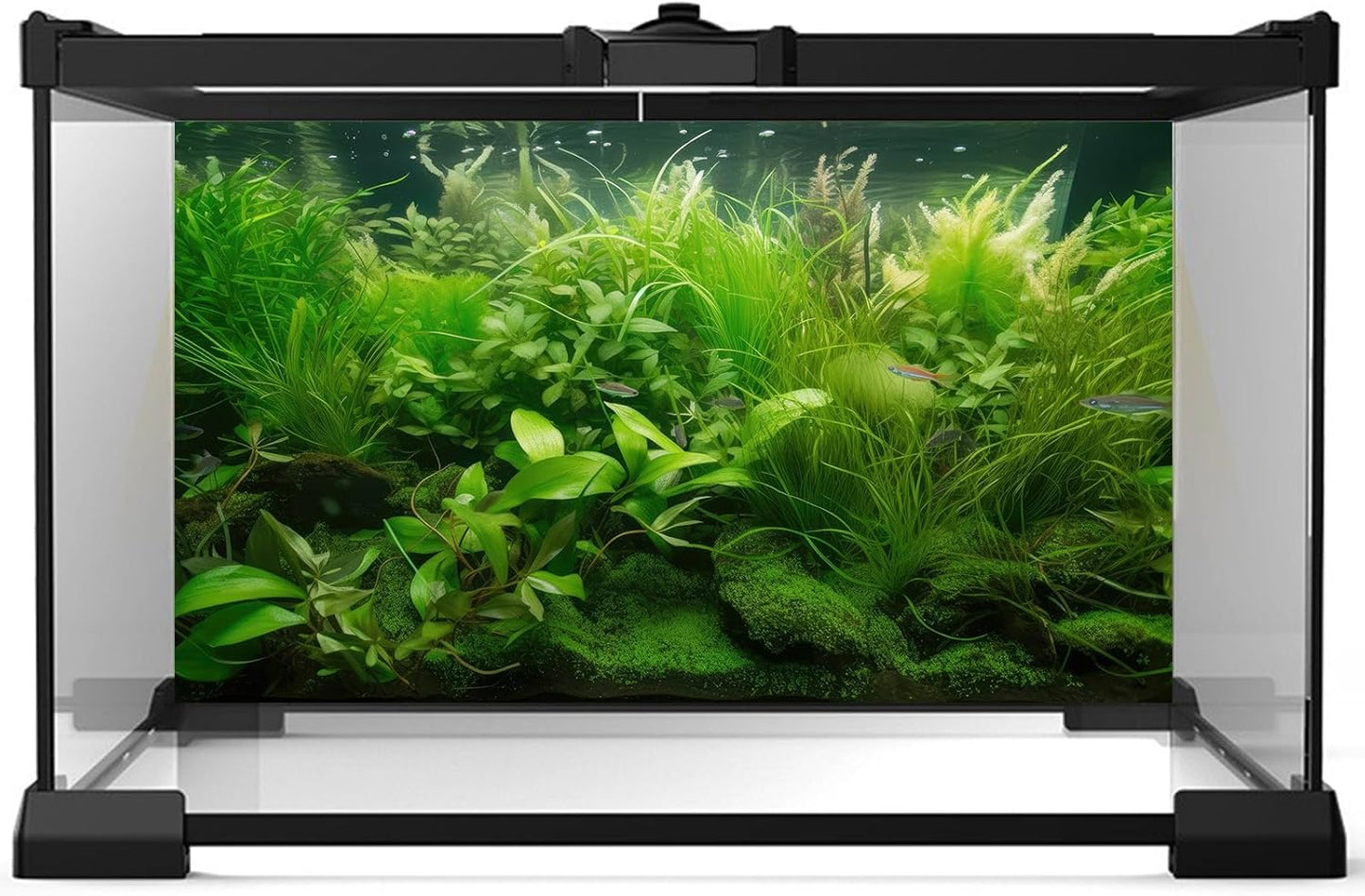 Aquarium Background Diverse Collection of Aquatic Plants Seagrasses Terrarium Background Redwood Root Moss Tropical Style Underwater Lush Green Plants Fish Tank Background Wallpaper Poster 48x18in