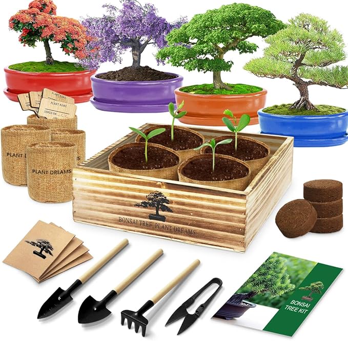 Bonsai Tree Kit, Bonsai Starter Kit with 4 Bonsai Tree Seeds, Tools & Planters, Bonsai Tree Live Plants Indoor, Gardening Gifts for Women Men Mom Father Plant Lover, Unique Christmas Gifts