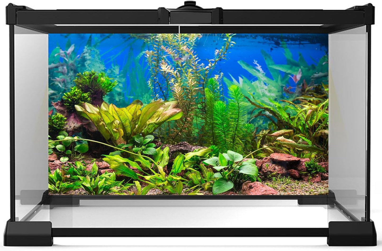 Aquarium Background Various Underwater Grass Plants Aquarium Backdrop Vivid and Fresh Green Aquatic Plants Stone River Bed and Dead Wood Purple Stone Fish Tank Background 24x12in