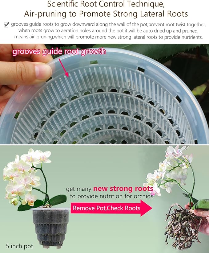 6 inch Orchid Pots with Holes for Repotting with Excellent Airflow, Set of 2, Double Layer Plastic Imitate Ceramic Orchid Planter, Clear Orchid Pot Match Decorative Orchid Container