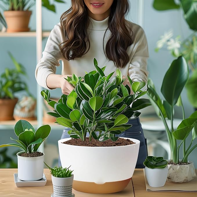 8/10/12 Inch Pots for Indoor Plants, Large Self Watering Planters with Drainage and Saucers, Plastic Outdoor Flower Pot, Set of 3, White